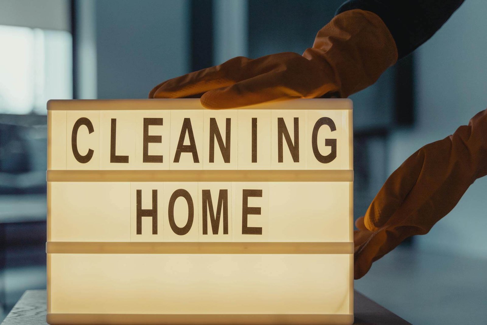 Professional House Cleaners Near Me